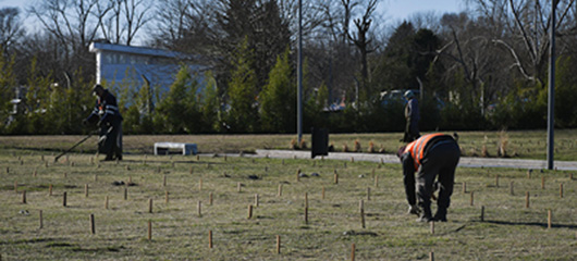 Ampliación del Cementerio Municipal